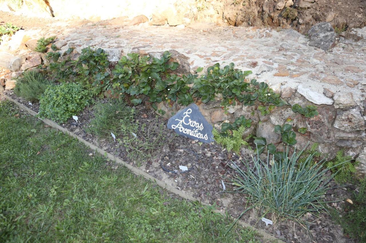 Moinho de Pedra Má Casa de hóspedes Aruouca Exterior foto